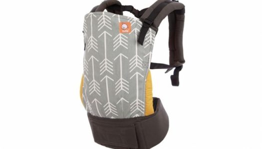 Tula Ergonomic Baby Carrier Review