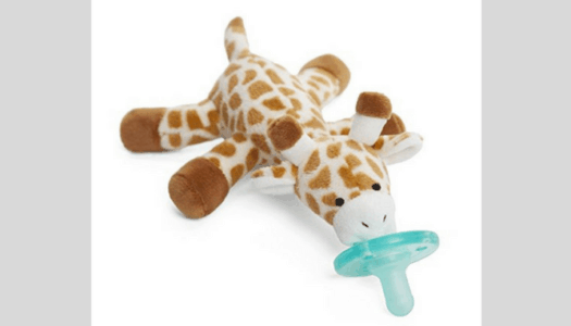 Best Baby Pacifiers